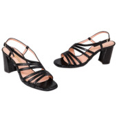 Μικρή φωτογραφία ζευγάρι ZORBAS  369 Μαύρο φίδι